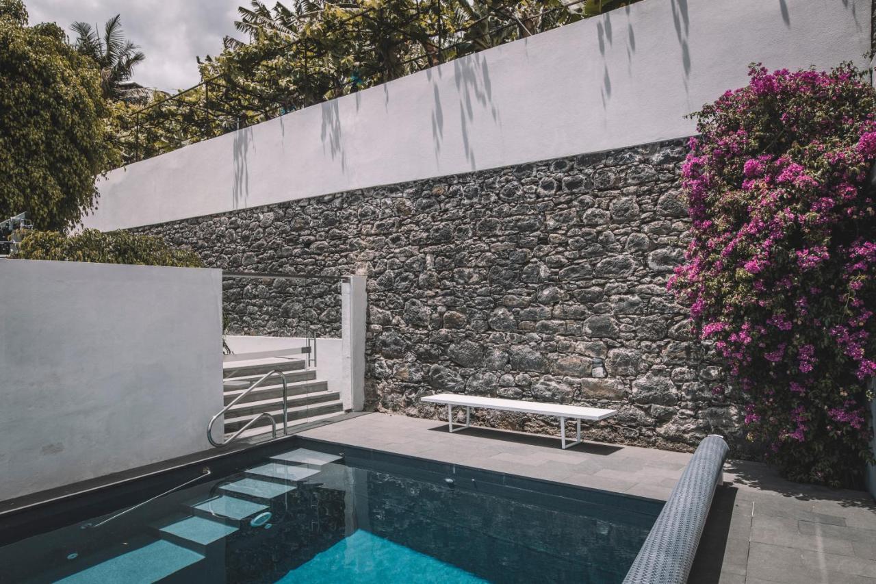 Torrinha Luxo Dream Wohnung Funchal (Madeira) Exterior foto